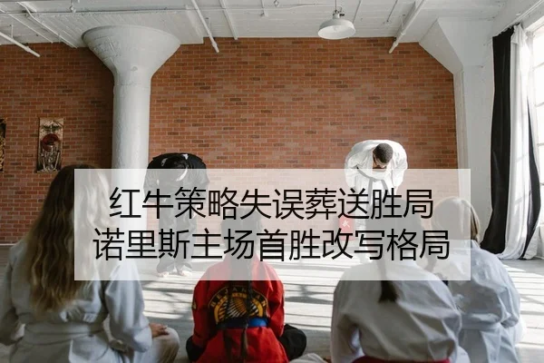 hong-niu-ce-lve-shi-wu-zang-song-sheng-ju-nuo-li-si-zhu-chang-shou-sheng-gai-xie-ge-ju-2-962.jpg
